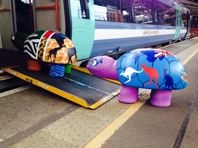 Turtles boarding the train at Ipswich