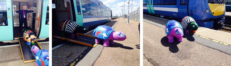 A member of staff at Ipswich welcomes the turtles aboard the train to Lowestoft where they disembark for their journey to the town centre