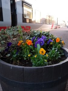 Melton station flowers March 2020