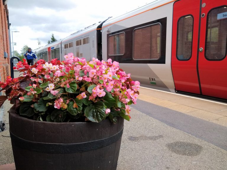 Flower tubs at Derby Road Station 26 August 2020