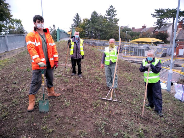 Volunteers prepare to sow wildflower seeds at Derby Road station