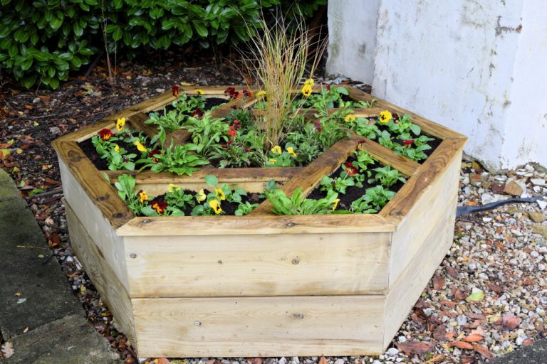 Westerfield hexagonal planter - October 2020