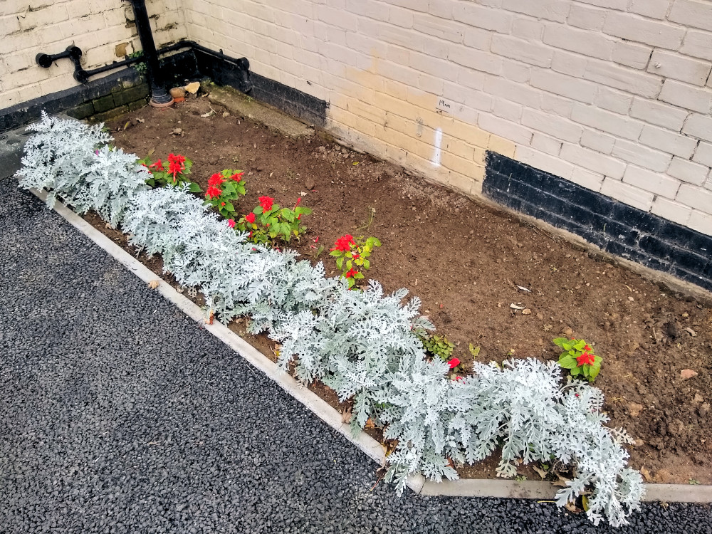 New plants and flowers adjacent to Saxmundham Station building 30 October 2020