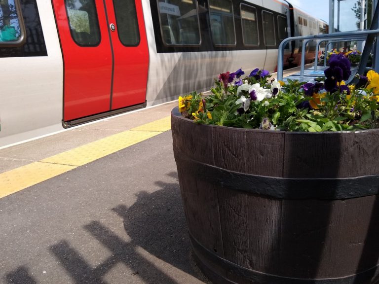 Brampton flowers 28 May 2021