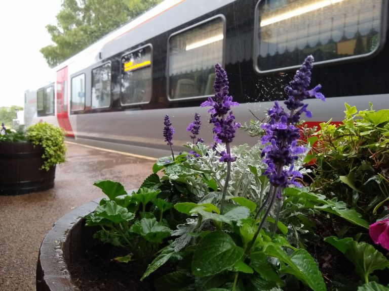 Melton station flowers 9 July 2021