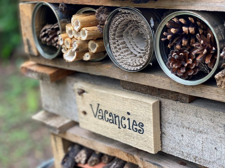 Westerfield-17-June-2021-9