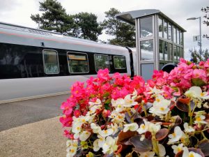 Derby Road Station flowers-12 August 2021