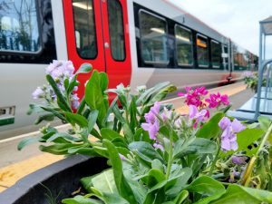 Flowers at Brampton station 29 October 2021