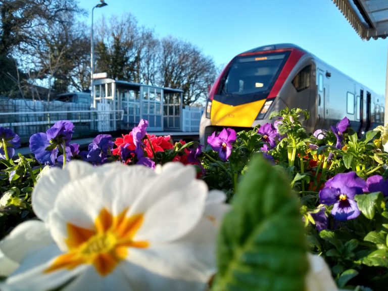 Saxmundham flower tubs 17 March 2022