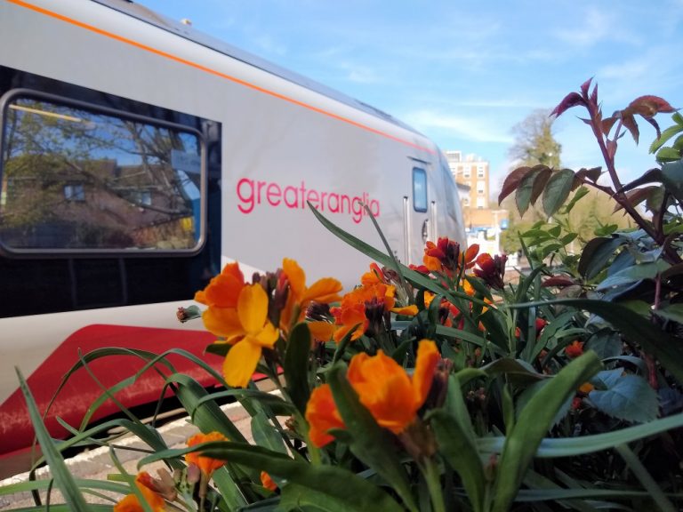 Halesworth flowers April 2022