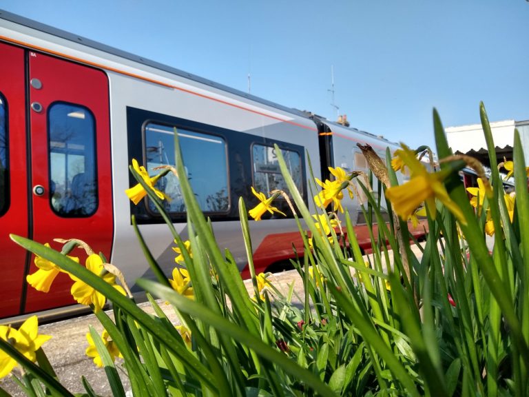 Woodbridge flowers 24 March 2022