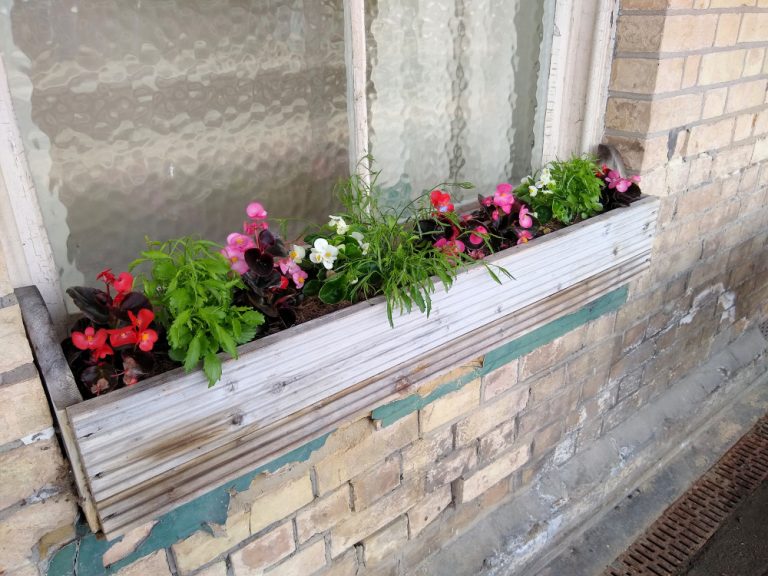 Darsham-flowers-24-May-2022-A