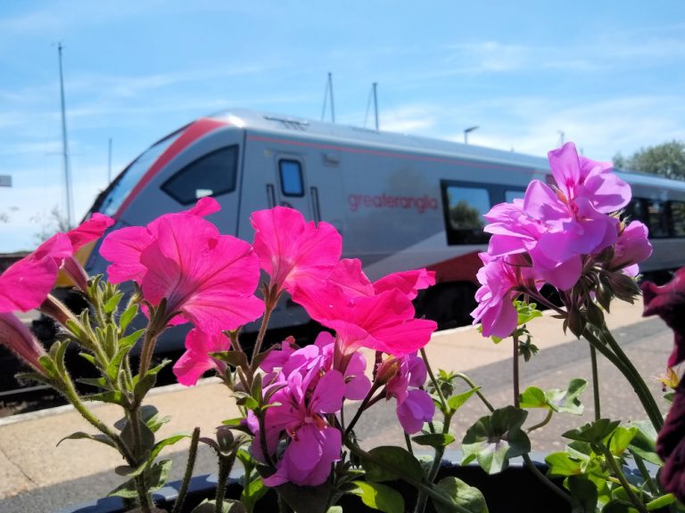 Woodbridge flowers 7 June 2022