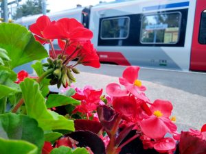 Flowers at Derby Road station 20 June 2022