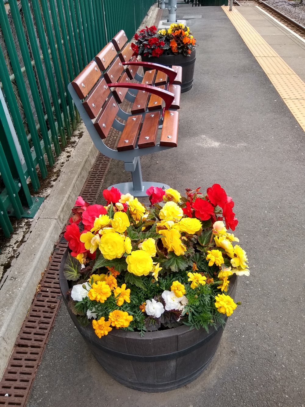 The flower tubs at Brampton station flowers 5 August 2022