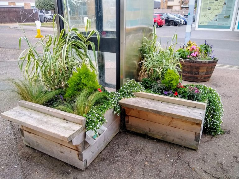 Felixstowe flowers 23 September 2022