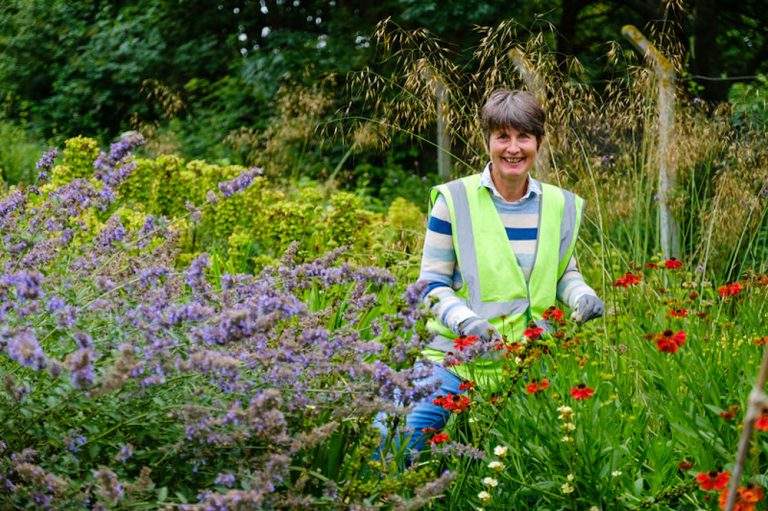 Sandy at Westerfield garden