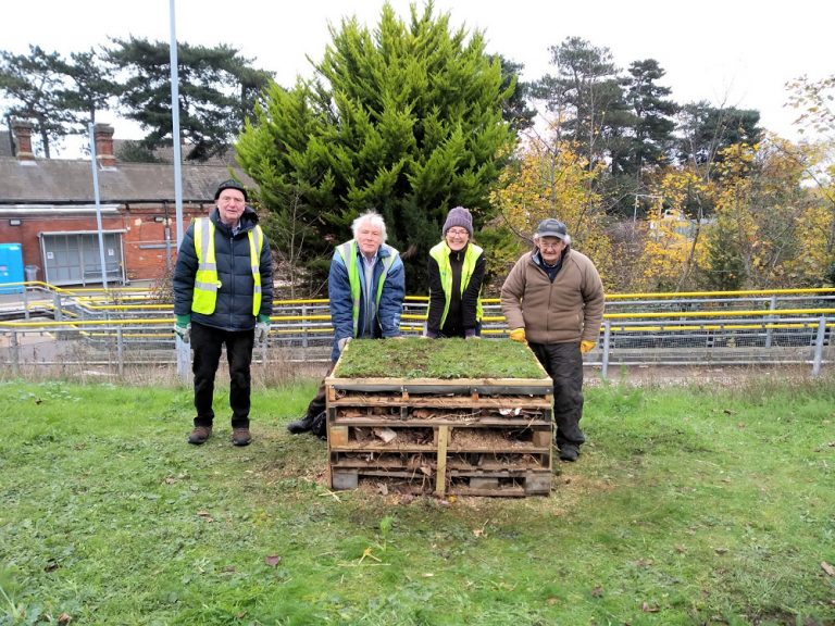 Derby Road bug hotel