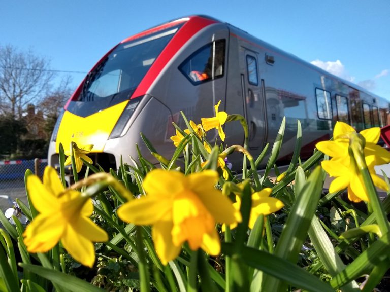 Brampton flowers March 2023