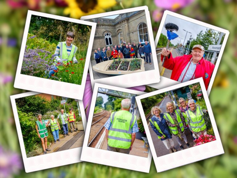 Station adoption collage