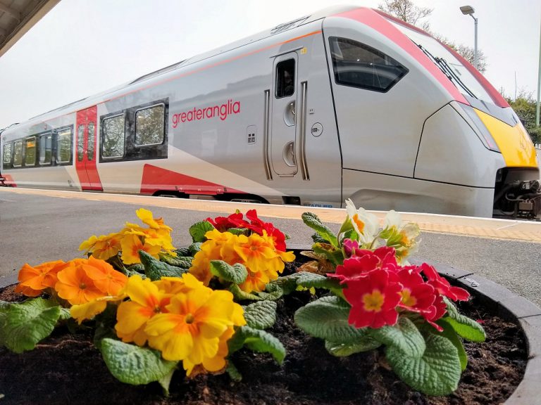 Spring flowers at Darsham station - April 2023