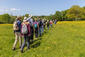 The East Suffolk Lines Suffolk Walking Festival walk - 23 May 2023