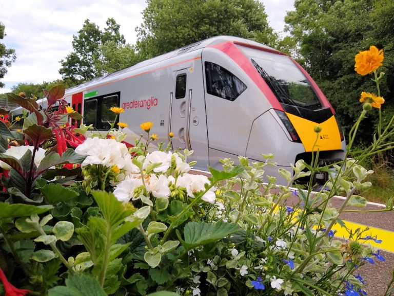 Flowers at Wickham Market station - July 2023