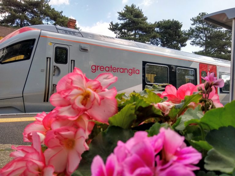 Derby-Road-flowers-August-2023