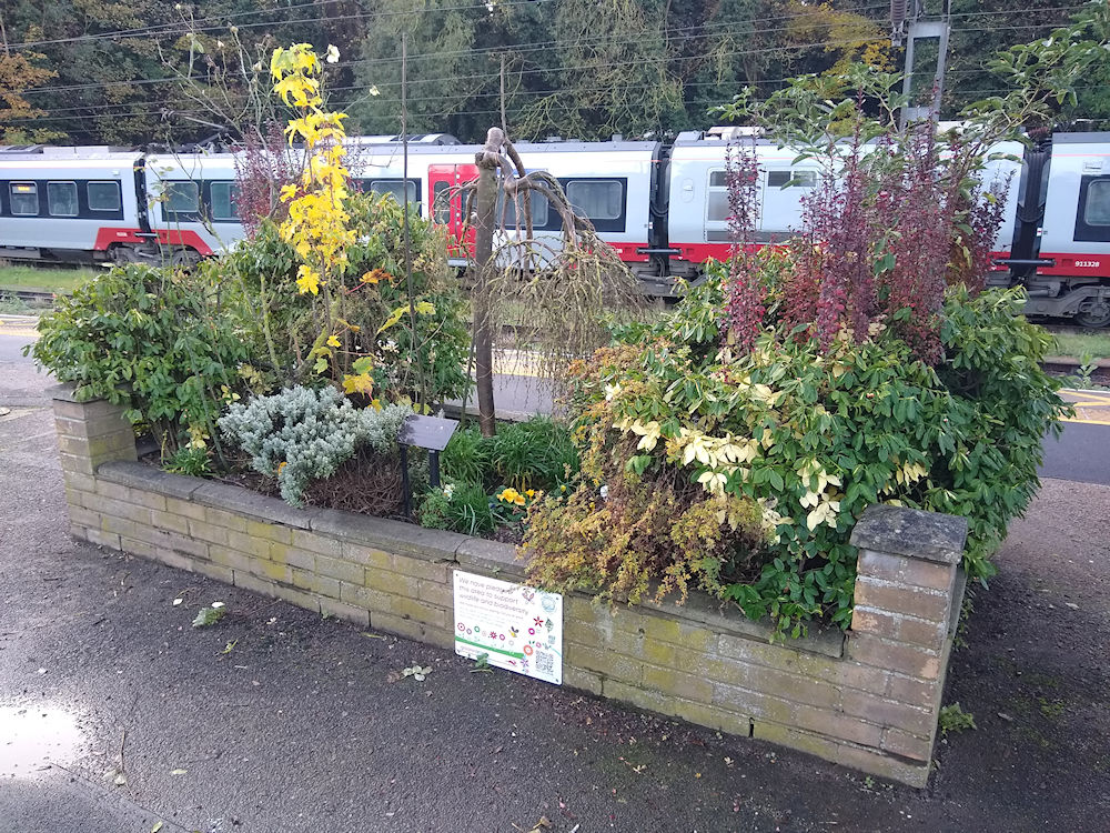 Ipswich station memorial garden
