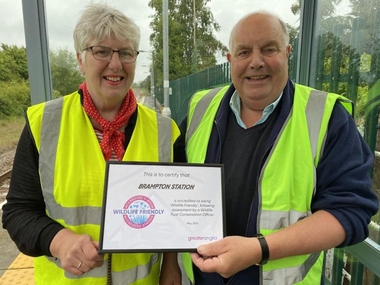 Brampton Station Adopters receive their Wild Friendly Accreditation Certificate