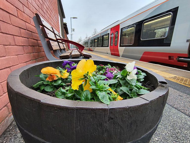 Derby Road Flowers - February 2025