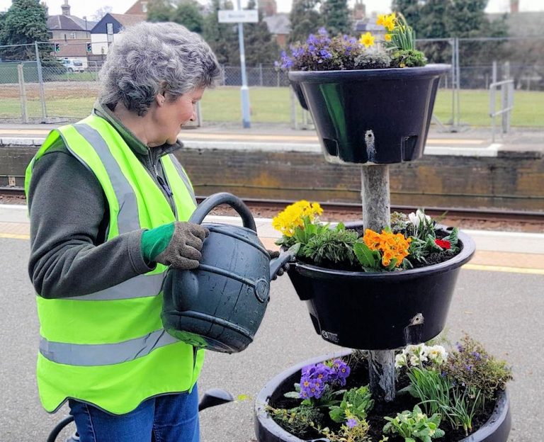 Beccles bee cafe planter