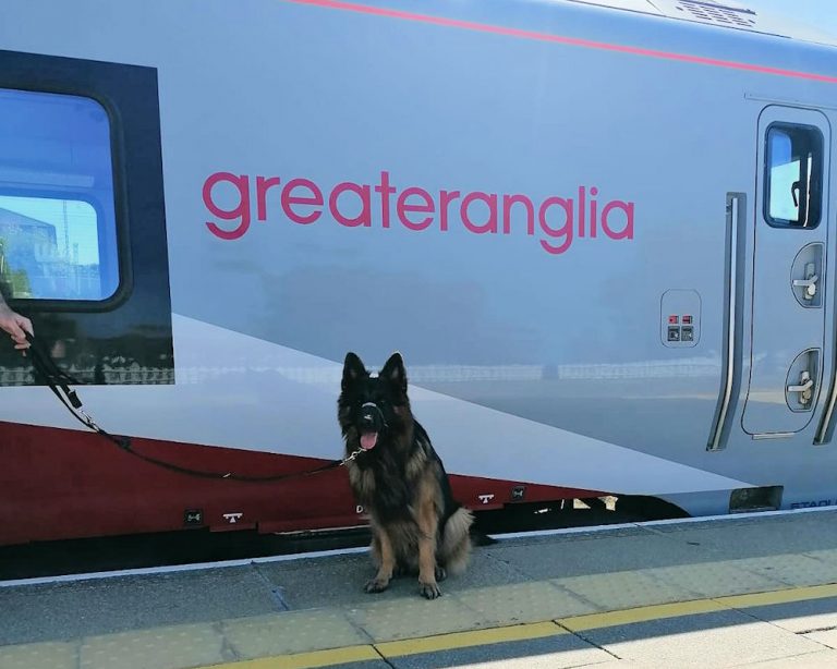 Rocky at Felixstowe station taking part in the Beach Bark