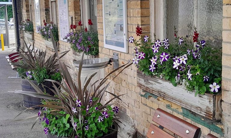 Darsham station flowers June 2025
