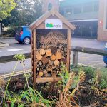 The new bug hotel at Ipswich station