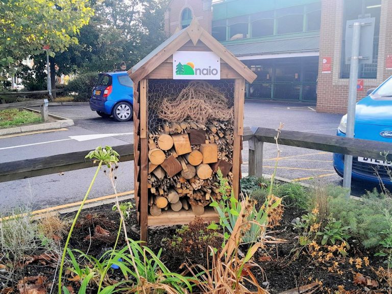 The new bug hotel at Ipswich station
