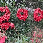 A Railway 200 floral display at Westerfield station 26 September 2025