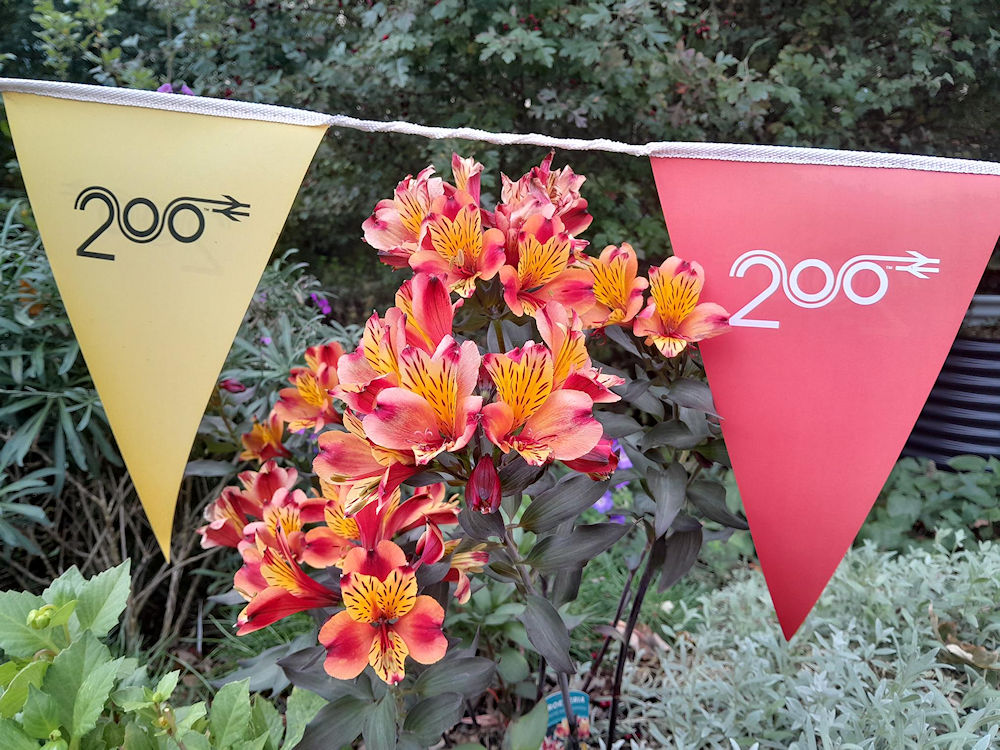 The floral displays at Westerfield station 26 September 2025