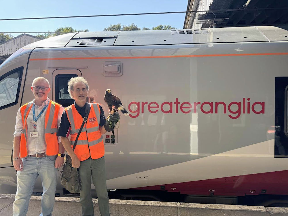 Birds of Prey at Ipswich Station