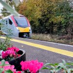 Wickham Market station flowers -November 2025