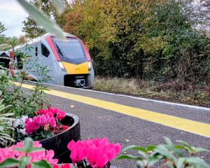 Wickham Market station flowers -November 2025