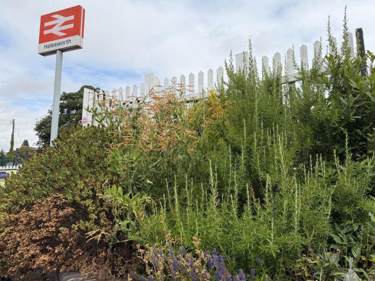 Halesworth station - August 2026